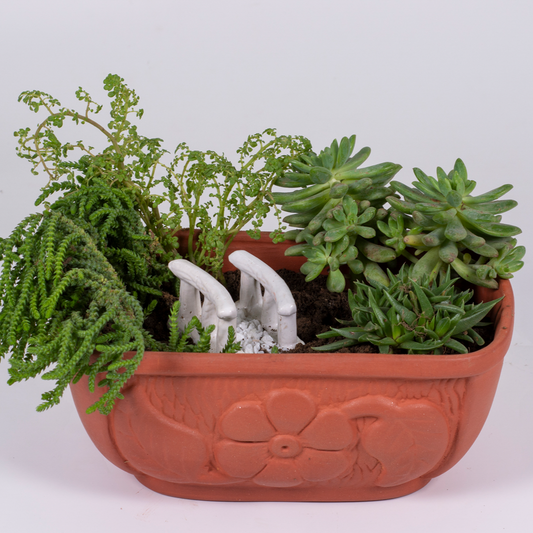 Earthern Mini Garden