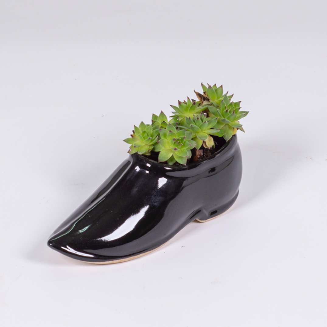 Shoe Planter
