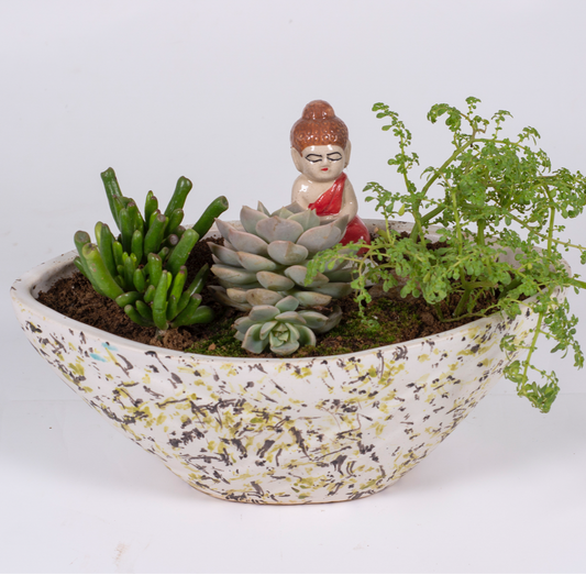 Lord Buddha’s Cute Boat Planter
