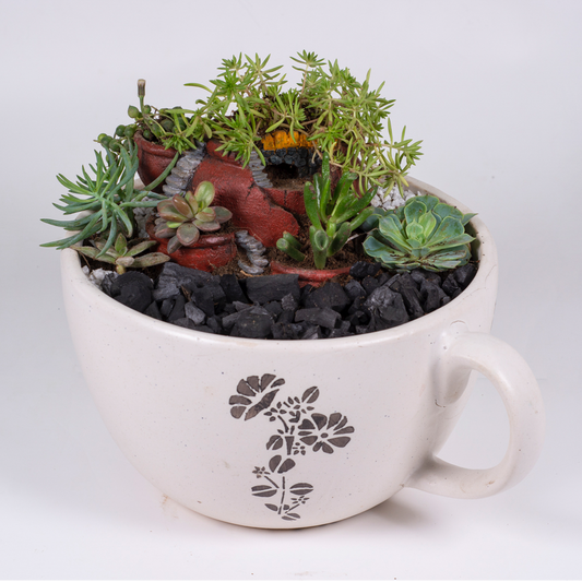 Teacup Mini Garden