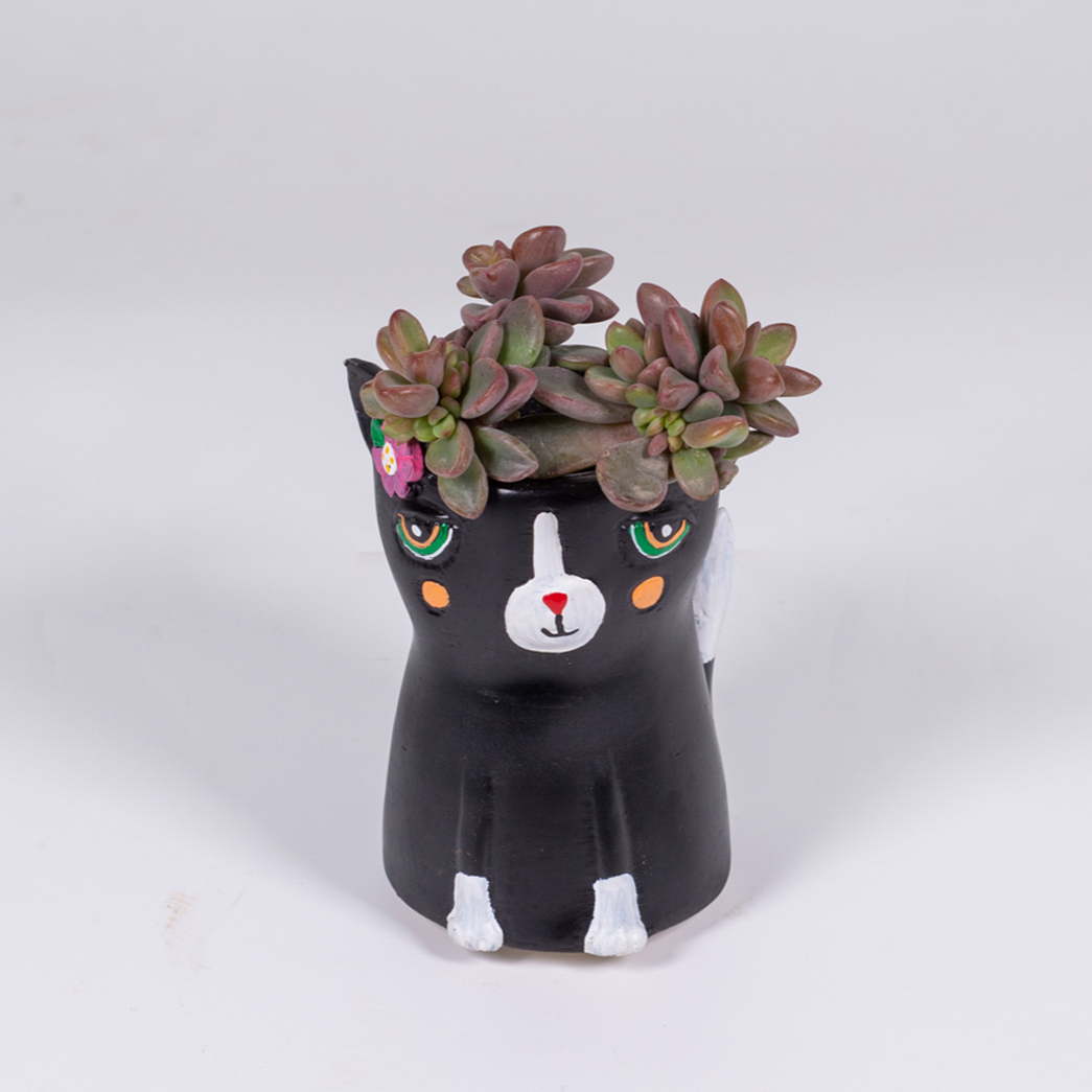 Kitty Cat Planter