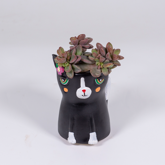 Kitty Cat Planter