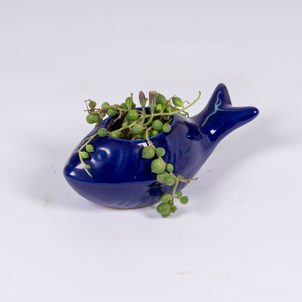 Mini Fish Planter