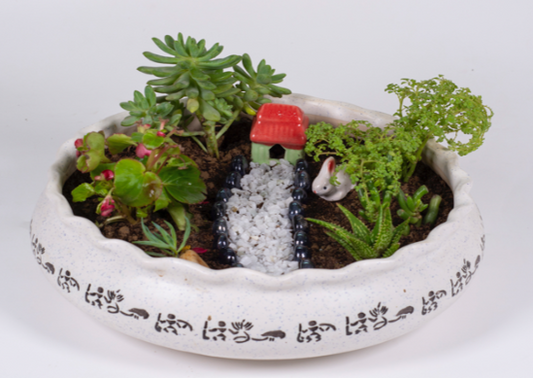 Mini Garden Bowl