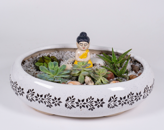 Lord Buddha’s Small Mini Garden